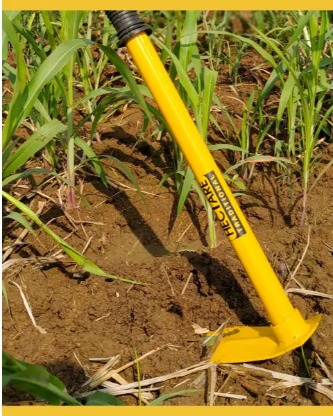 Hectare Traditional Farm / Garden Single Hoe-Yellow. 1