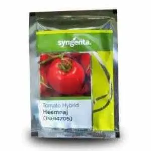 Heemraj (To-Ii4705) Tomato 1