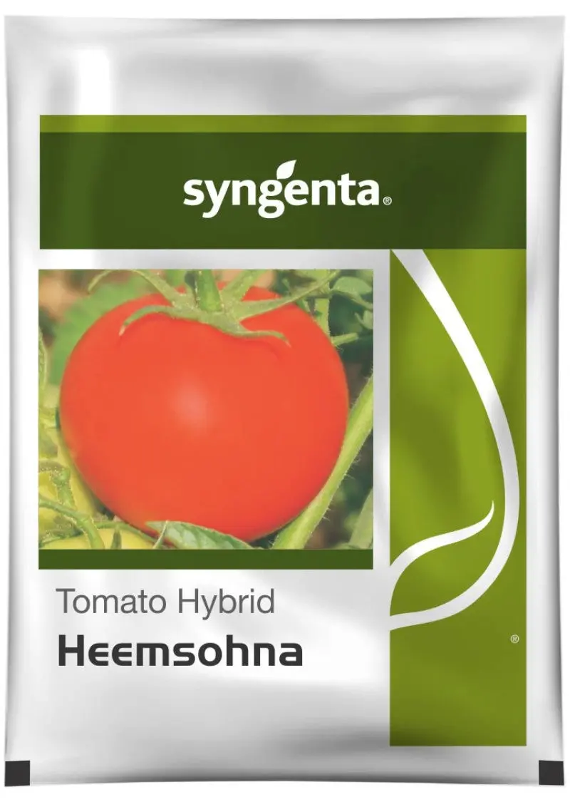 Heemsohna Tomato Seeds By Syngenta | Indeterminate, Hybrid Variety 1