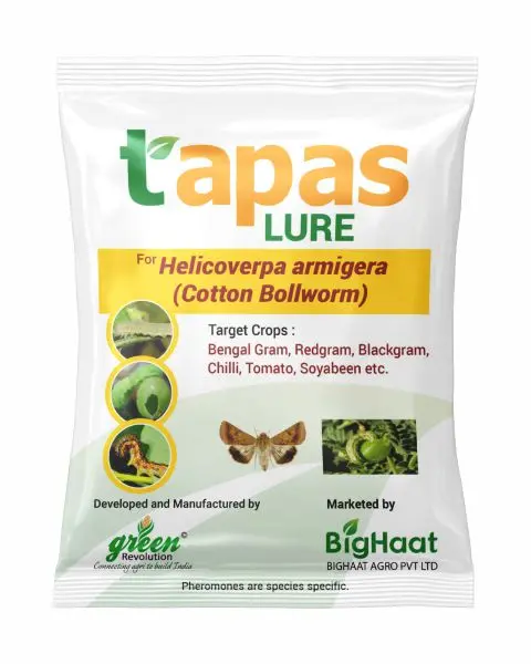 Cotton Bollworm Pheromone Lure (Helicoverpa Armigera) Ipm Suitable | Tapas 1
