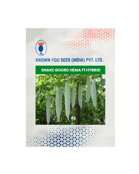 Hema Snake Gourd 1