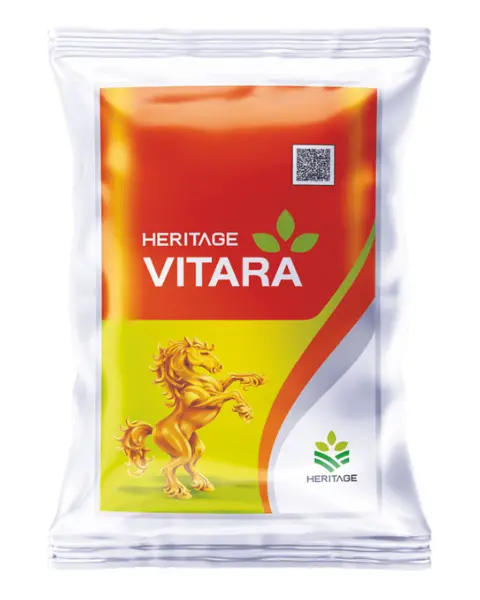 Heritage Vitara 1