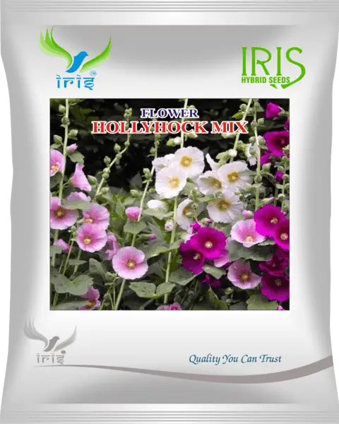 Iris Hybrid Imported Op Hollyhock Mix 1