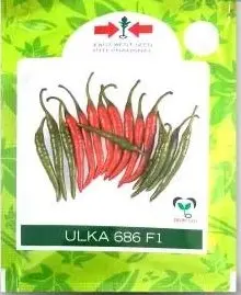 Ulka 686 F1 Hot Pepper Seeds – Spicy Hybrid For High Yield 1