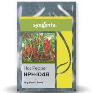 Hph 1048 Chilli Seeds 1
