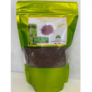 Pioneer Agro Hudge Lucerne (Velimasal) Seed 1