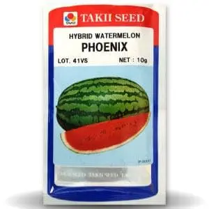 Phoenix F1 Watermelon 1