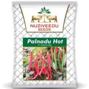 Palnadu Hot Chilli 1