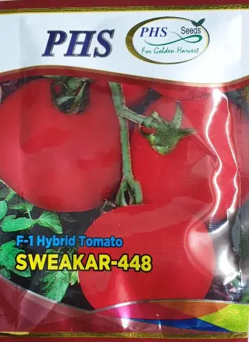 Phs Sweakar-448 F1 Hybrid Tomato Seeds 1