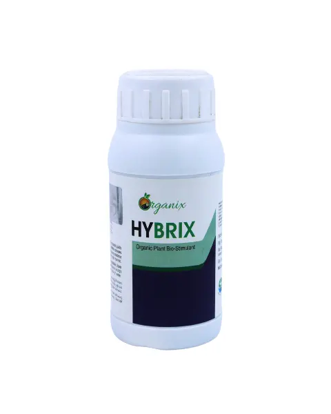 Sri Bio Hybrix Nutrient Supplement – Boosts Growth, Fruit Size, Sweetness & Yields 1