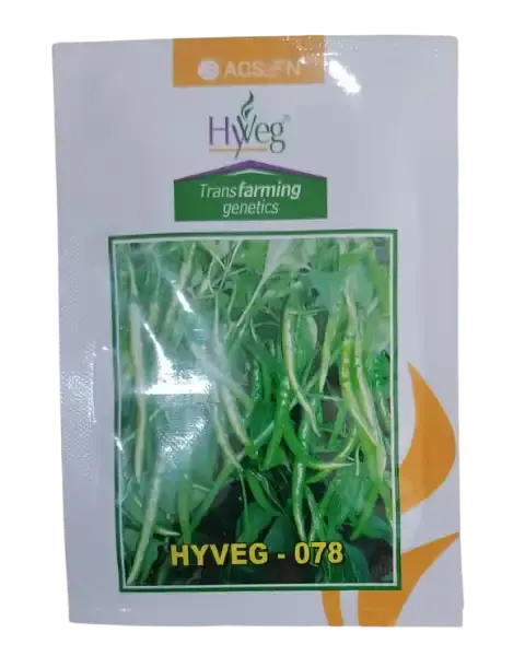 Hyveg-078 Chilli Seeds - Hybrid Seeds 1
