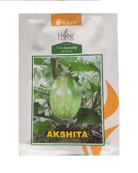 Hyveg Akshita Hybrid Brinjal Seeds 1