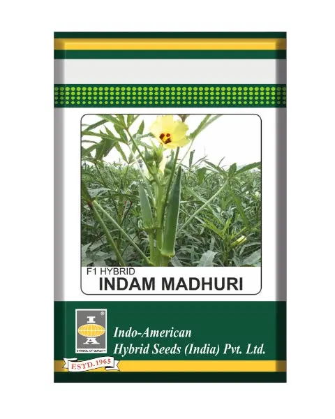 Indam Madhuri Bhendi Seeds 1