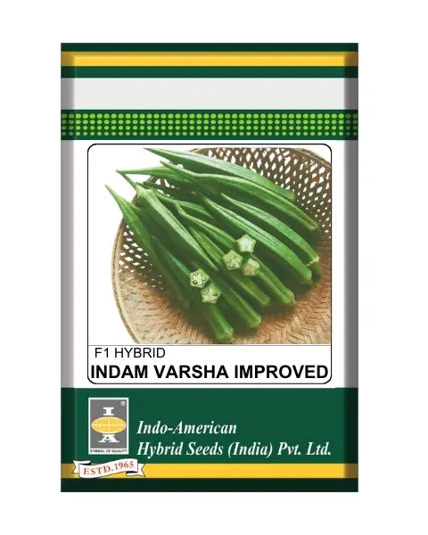 Indam Varsha Improved Bhendi Seeds 1