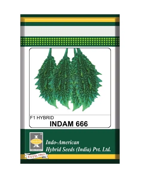 Indam 666 Bittergourd Seeds 1