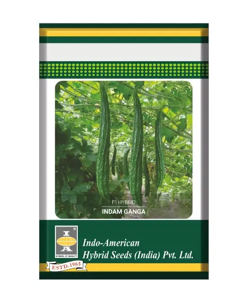 Indam Ganga Bittergourd Seeds 1