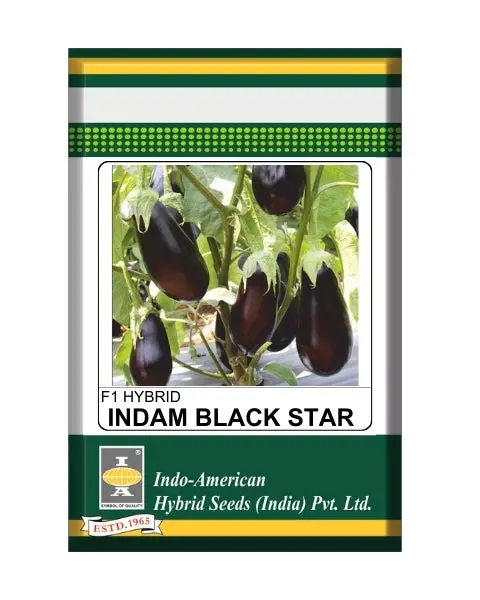 Indam Black Star Brinjal Seeds 1