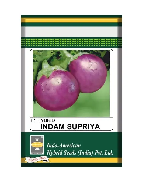 Indam Supriya Brinjal Seeds – High Yield, Thornless & Early Maturing Variety 1