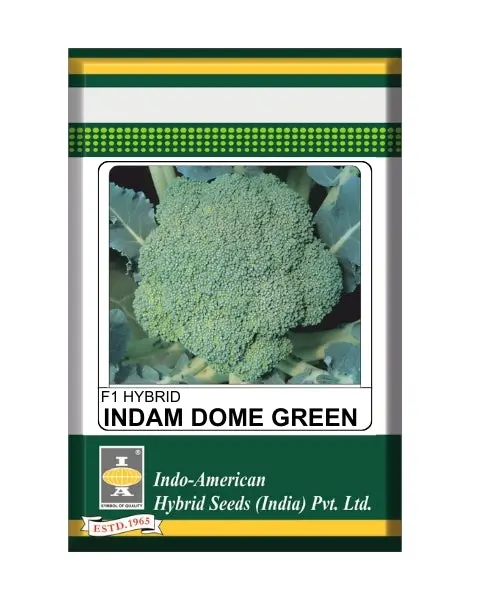 Indam Dome Green Broccoli Seeds 1