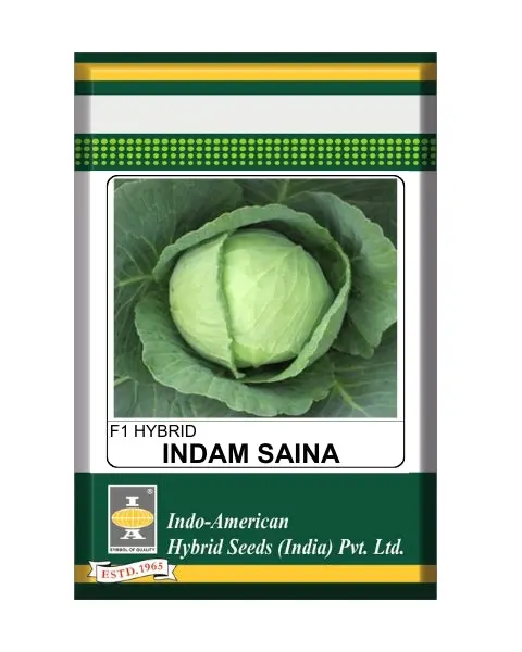 Indam Saina Cabbage Seeds 1