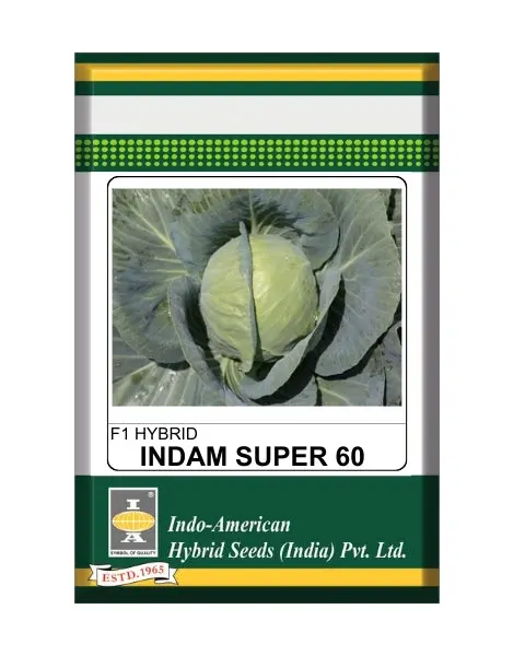 Indam Super-60 Cabbage Seeds – Bluish Green, Round Head, High Yield 1