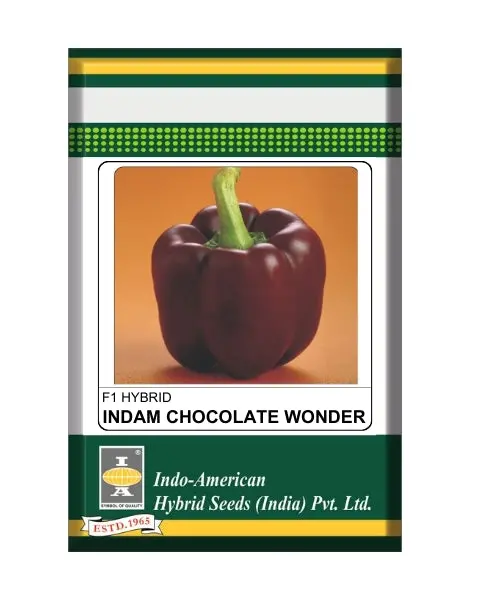Indam Chocolate Wonder Capsicum Seeds 1