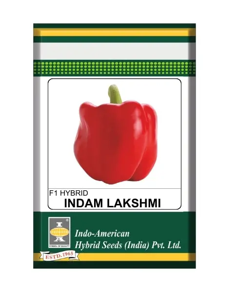 Indam Lakshmi Capsicum Seeds 1