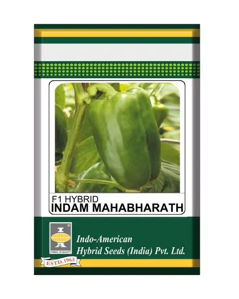 Indam Mahabharat Capsicum Seeds 1