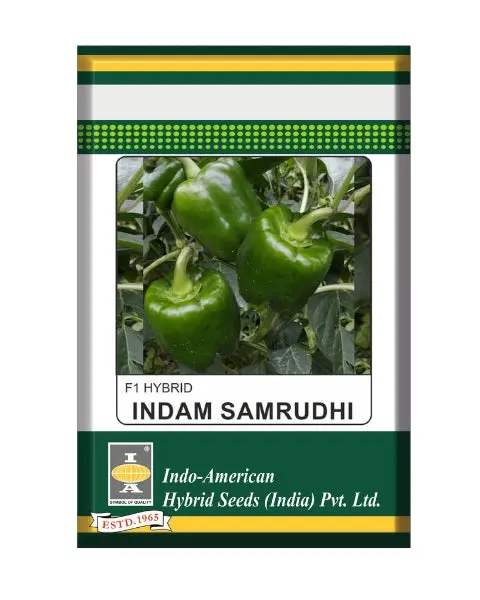 Indam Samrudhi Capsicum Seeds 1