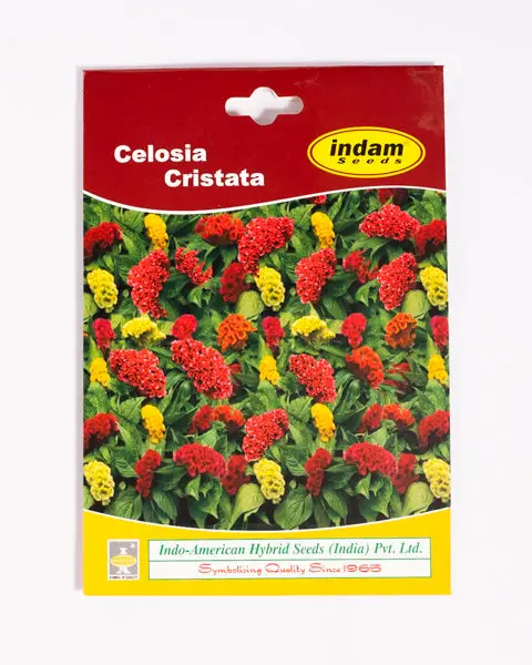 Iahs Celosia Cristata 1