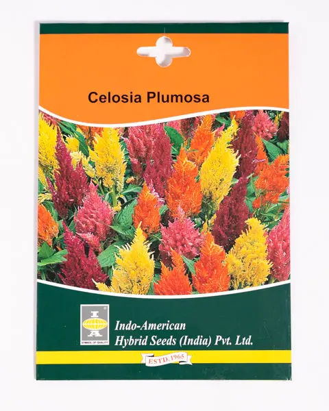 Iahs Celosia Icecream Mix 1