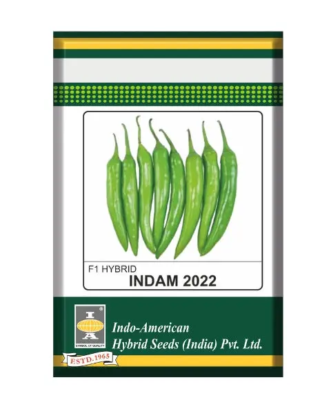 Indam 2022 Chilli Seeds 1