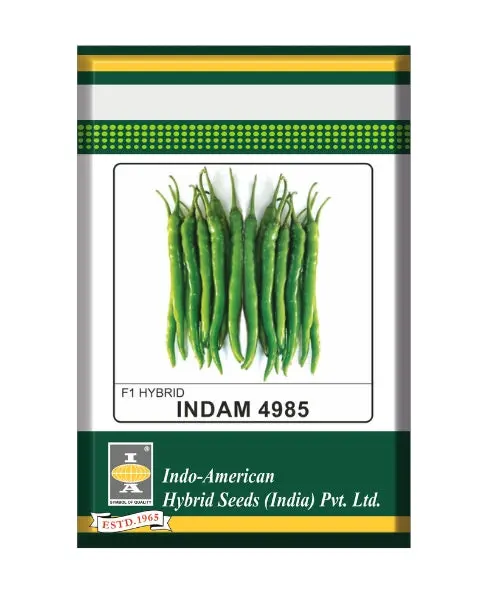 Indam 4985 Chilli Seeds 1
