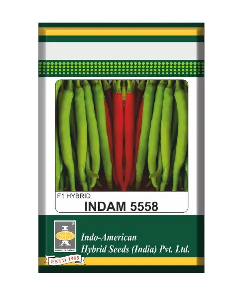 Indam 5558 Chilli Seeds 1