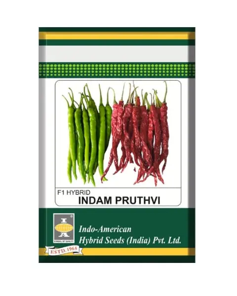 Indam Pruthvi Chilli Seeds 1