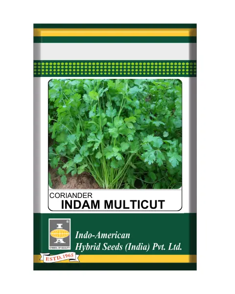 Iahs Coriander  Indam  Multicut 1