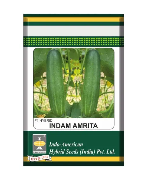 Indam Amritha Cucumber Seeds 1