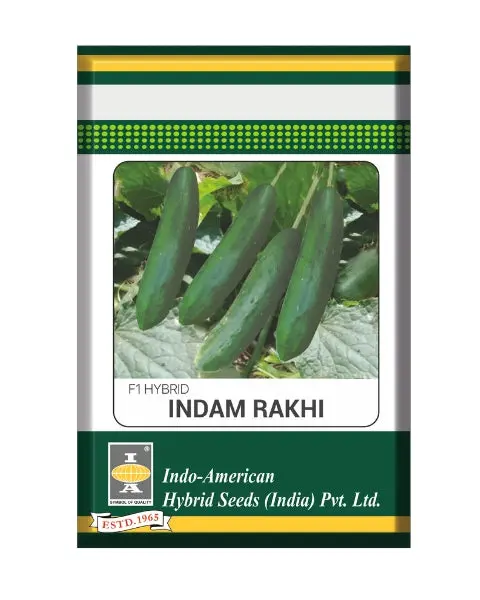Indam Rakhi Cucumber Seeds 1