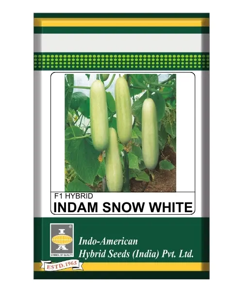 Indam Snow White Cucumber Seeds – High Yeild & Early Maturing 1