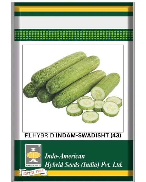 Indam Swadisht Hybrid Cucumber Seeds – Bitter-Free & High Yielding 1