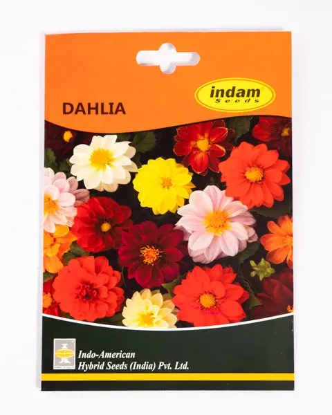 Iahs Dahlia Figaro Mix 1