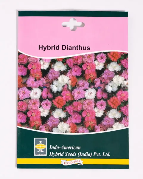 Iahs Dianthus Dynasty Mix 1