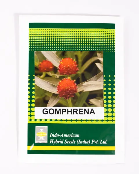 Iahs Gomphrena Fireworks 1