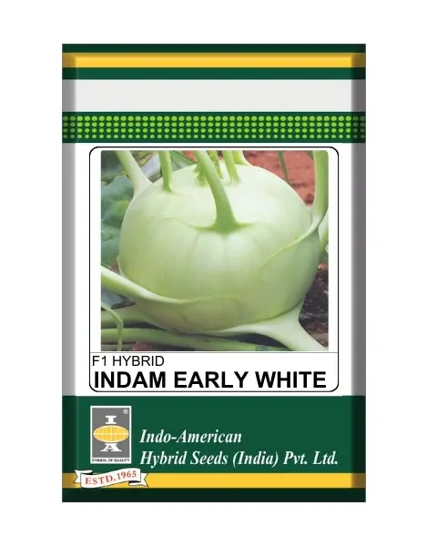 Indam Early White Knol Khol Seeds 1