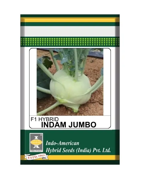 Indam Khol Jumbo Knol Seeds 1