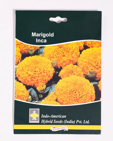 Iahs Marigold Inca Orange 1