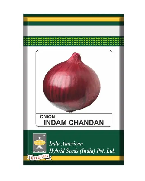 Indam Chandan Onion Seeds 1