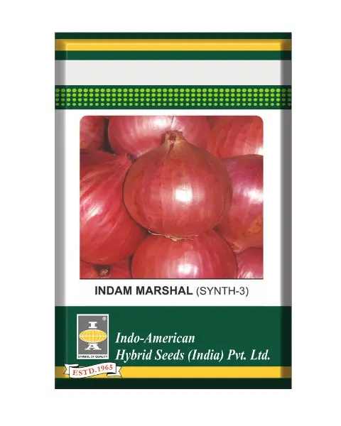 Indam Marshal Onion Seeds 1