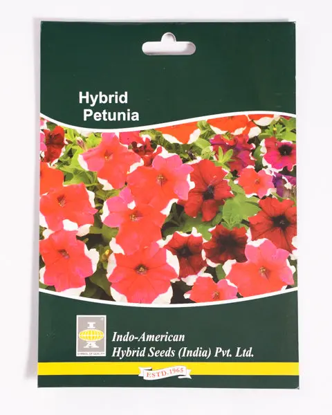 Iahs Petunia Dream Picotee Mix 1