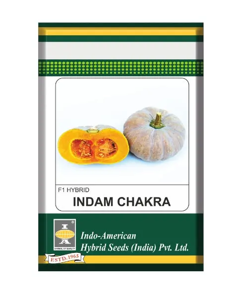 Indam Chakra Pumpkin Seeds 1